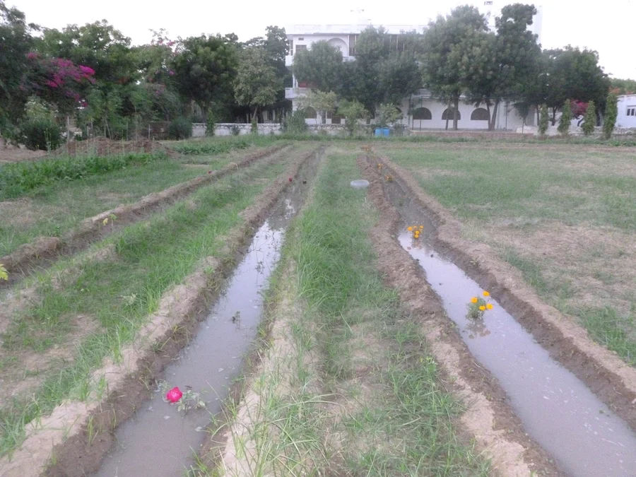 the new ornamental garden 1200